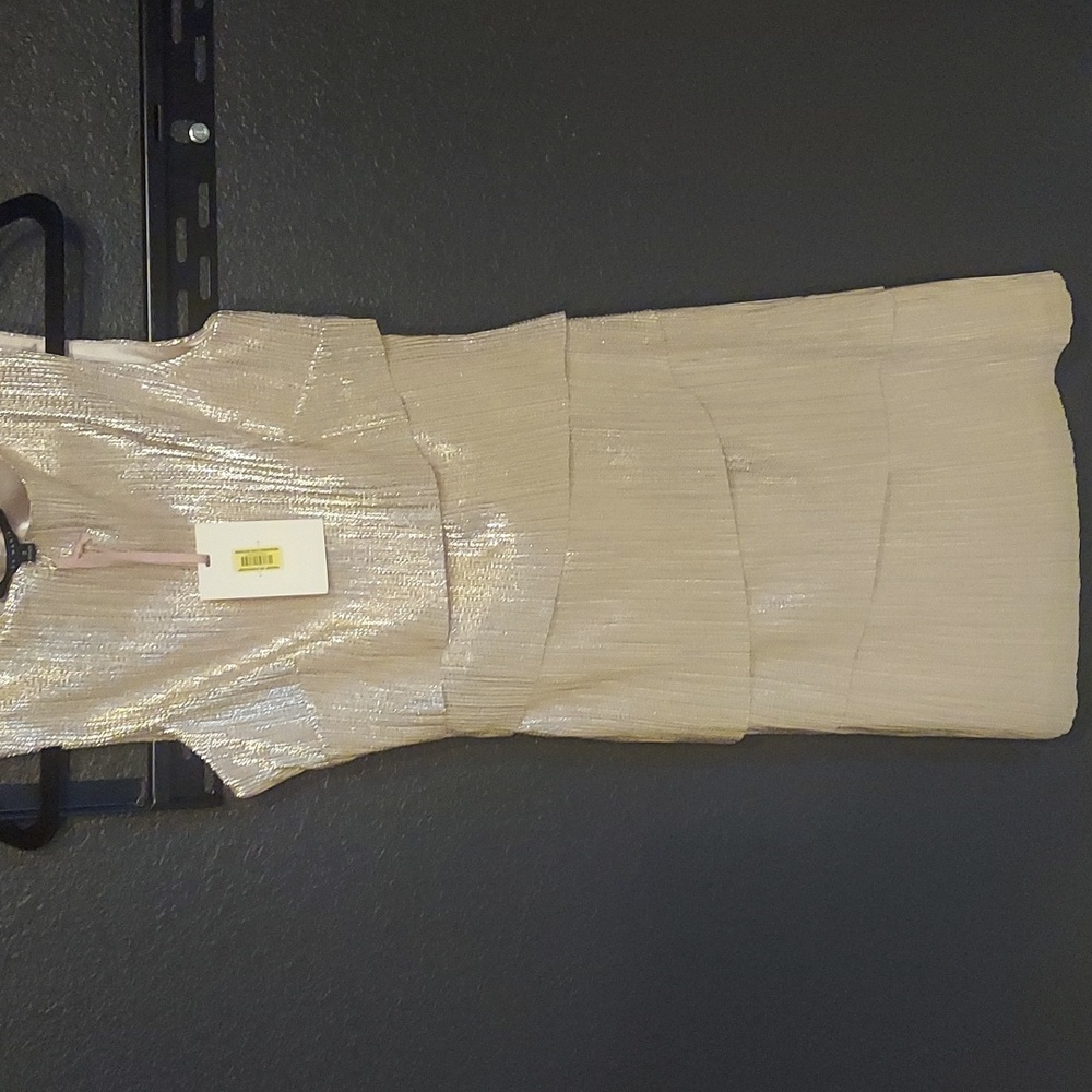 Alex Murray Dress